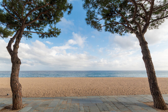 Paisaje marino de la costa brava con la imagen de la playa entre dos árboles bajo un cielo azul con nubes.