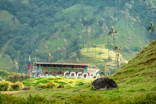 Colombia - October 14, 2022: Cocora palm valley in South America