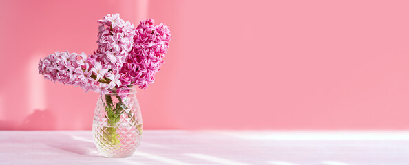 Flowers composition with Pink hyacinth on pink wall background. Bouquet of Spring flower hyacinth in glass vase. Spring Greeting card for Mothers or Womens Day. copy space. March 8. Holidays gift