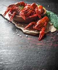 Fragrant boiled crayfish on paper with a bunch of dill.