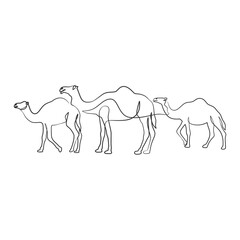 Camel continuous one line art drawing