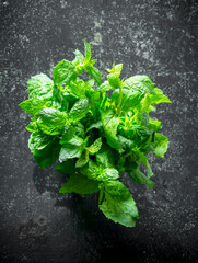 Bunch of fresh fragrant mint.