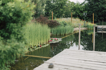 Natural swimming pool with water lilies in countryside resort. Clean pond water, green grass and wooden bridge. Rustic getaway for relaxation. Healthy outdoor lifestyle.