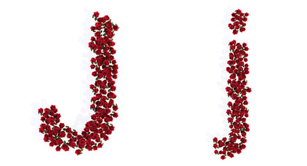 Concept or conceptual set of beautiful blooming red roses bouquets forming the font J. 3d illustration metaphor for education, design and decoration, romance and love, nature, spring or summer.