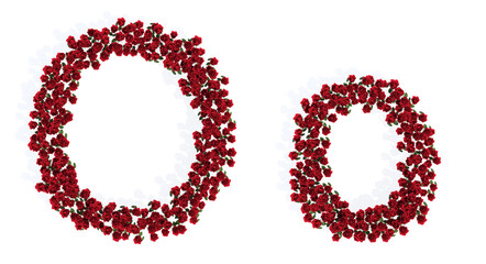 Concept or conceptual set of beautiful blooming red roses bouquets forming the font O. 3d illustration metaphor for education, design and decoration, romance and love, nature, spring or summer.