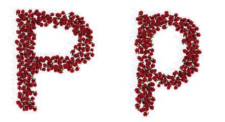 Concept or conceptual set of beautiful blooming red roses bouquets forming the font P. 3d illustration metaphor for education, design and decoration, romance and love, nature, spring or summer.