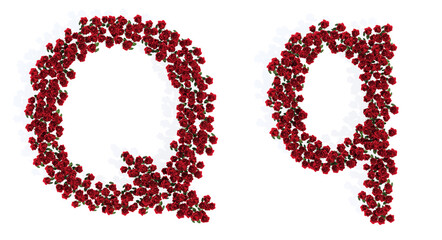 Concept or conceptual set of beautiful blooming red roses bouquets forming the font Q. 3d illustration metaphor for education, design and decoration, romance and love, nature, spring or summer.