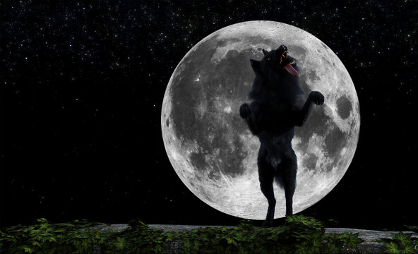 Illustration of a black wolf on hind legs with tongue out in front of a rising full moon.
