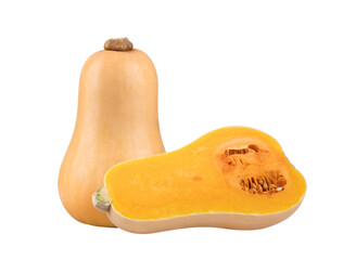 butternut squash isolated on  transparent png