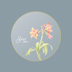 Flowers watercolor illustration.Manual composition.Big Set watercolor elements，Design for textile, wallpapers，Element for design,Greeting card