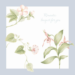 Flowers watercolor illustration.Manual composition.Big Set watercolor elements，Design for textile, wallpapers，Element for design,Greeting card