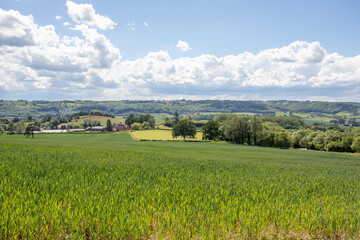 Abberley hills in the Summertime.
