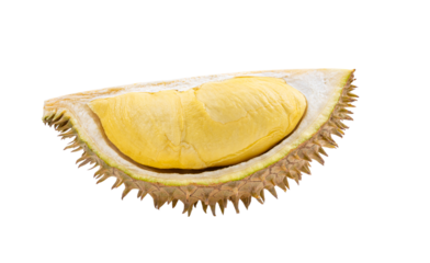 durian peels isolated on transparent png