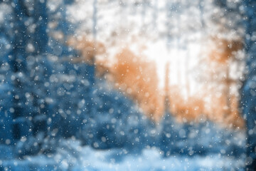  blurred winter forest
