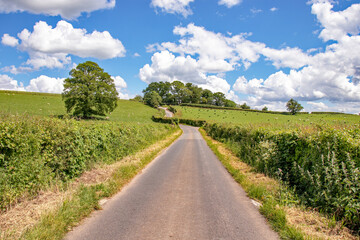 Country lane in the Summertime,