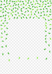 Green Sheet Background Transparent Vector. Greenery Motion Texture. Abstract Frame. Light Green Twig Card. Leaves Grow.