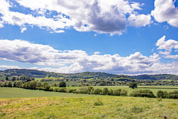 Fototapeta na wymiar Summertime fields and meadows in England.