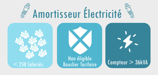 Conditions amortisseur électricité