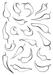 Vector chili peppers