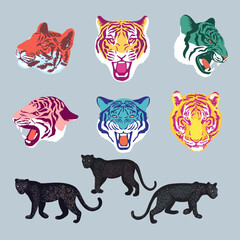 Portraits of tigers and black panthers. A set of hand drawn vector illustrations with tropical big cat animal theme
