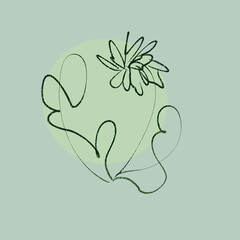 illustration of a green leaf