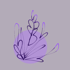 flower on a white background