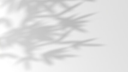 3D render background shadow overlay