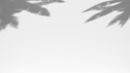 3D render background shadow overlay