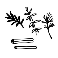 herbs nature coffee icon