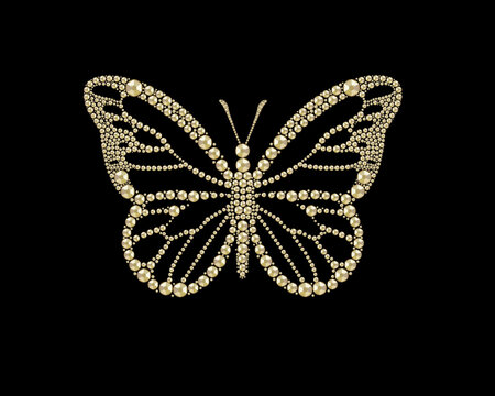 butterfly isolated on black rhinestone hot fix