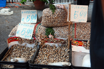 étale d'escargot au marché 
