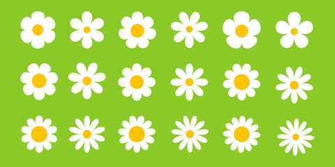 Camomile, flower great design for any purposes. Cartoon illustration with white camomile on green background.