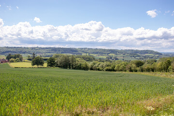 Fototapeta premium Abberley hills in the Summertime.