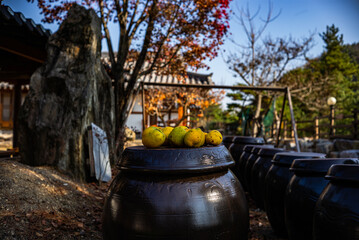 Fototapeta premium an old house in Korea