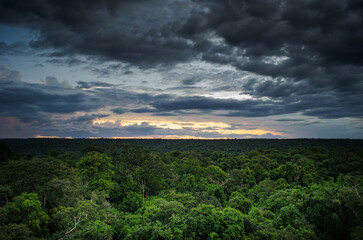 Sunset in rainforest