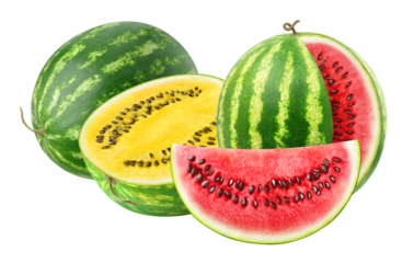 Red and yellow watermelon varieties cut out