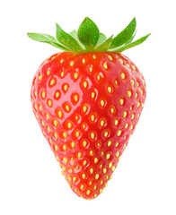 One strawberry fruit cut out