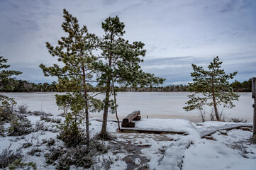 Pier with a bench on the shore of a frozen swamp lake. Winter landscape. Jalase nature trail, Landscape Reserve, Estonia.
