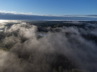 Moody summer morning and green tree tops covered with fog