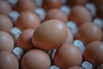 Close-up detail of chicken eggs in an egg box on top view