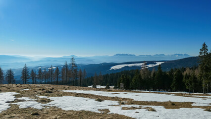 Scenic view of alpine meadows, high altitude forest and hills seen from hiking trail to Ladinger...