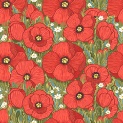 Red poppies field. Seamless pattern with digital hand drawn illustration
