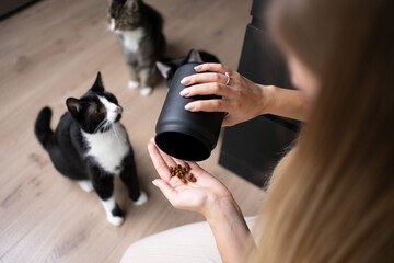 female pet owner emptying treat jar to give dried food snack to hungry cats
