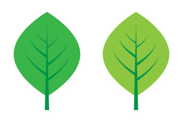 Green Leaf Icon Vector Design.