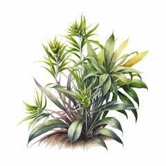 Obraz premium Aquarelle de plante sur fond blanc, IA générative