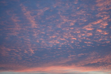 rays of the sun through cirrus pink clouds against the background of the sunset sky, pink blue...