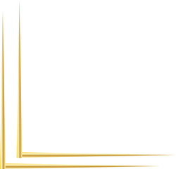 gold line border frame decoration
