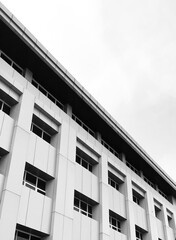 Fototapeta premium windows of a school building in grayscale