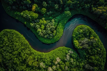 Fotobehang a river that flows through the middle of the rainforest. many green tropical trees. drone shot. Generative AI © jr-art