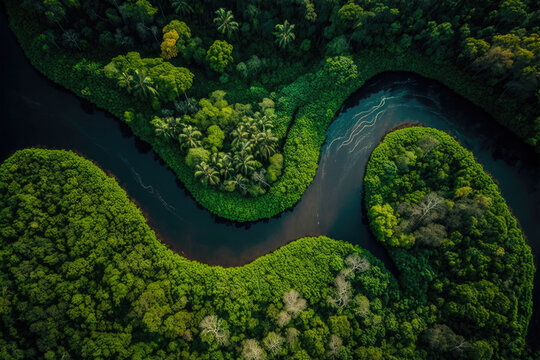 a river that flows through the middle of the rainforest. many green tropical trees. drone shot. Generative AI